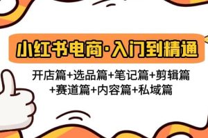 小红书电商入门到精通 开店篇 选品篇 笔记篇 剪辑篇 赛道篇 内容篇 私域篇