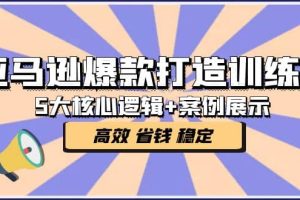 亚马逊爆款打造训练营：5大核心逻辑 案例展示 打造爆款链接 高效 省钱 稳定