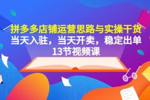 拼多多店铺运营思路与实操干货，当天入驻，当天开卖，稳定出单（13节课）