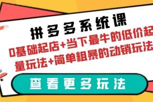 拼多多系统课：0基础起店 当下最牛的低价起量玩法 简单粗暴的动销玩法