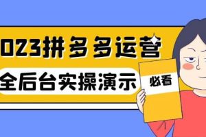 2023拼多多·运营：14节干货实战课，拒绝-口嗨，全后台实操演示