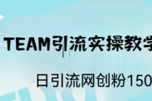 ST TEAM引流实操课，日引流网创粉100