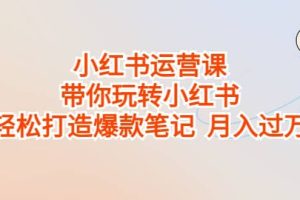 小红书运营课，带你玩转小红书，轻松打造爆款笔记 月入过万