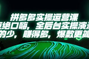 拼多多实操运营课：拒绝口嗨，全后台实操演示，花的少，赚得多，爆款更简单