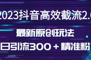 日引300＋创业粉，独家抖音高效截流2.0玩法（价值1280）