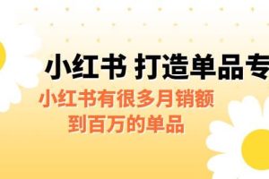 某公众号付费文章《小红书 打造单品专家》小红书有很多月销额到百万的单品