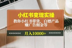 小红书变现实操：教你小红书带货，白嫖产品，赚广告佣金等