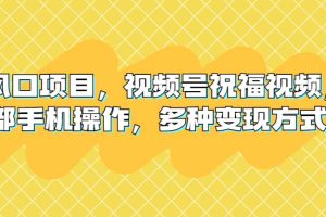 新风口项目，视频号祝福视频，一部手机操作，多种变现方式