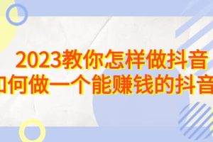 2023教你怎样做抖音，如何做一个能赚钱的抖音号（22节课）