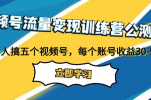 视频号流量变现训练营公测1.0：一个人搞五个视频号，每个账号收益30-50