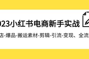 2023小红书电商新手实战课程，开店-爆品-搬运素材-剪辑-引流-变现、全流程