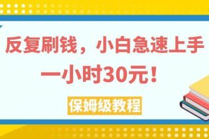 反复刷钱，小白急速上手，一个小时30元，实操教程。