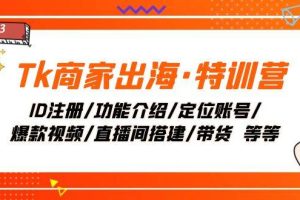 Tk商家出海·特训营：ID注册/功能介绍/定位账号/爆款视频/直播间搭建/带货